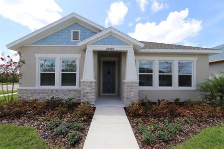 New construction Single-Family house 28866 Hillcrest Valley Blvd, Wesley Chapel, FL 33543 null- photo 0