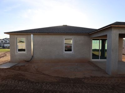 New construction Single-Family house 12290 Stirrup Dr, Dade City, FL 33525 plan Picasso - image