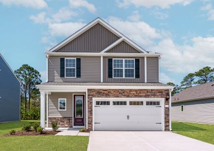 New construction Single-Family house 26 Hibiscus Dr, Hampstead, NC 28443 plan Camden - image