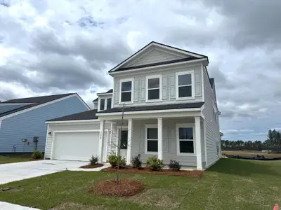 New construction Single-Family house 3009 Macaron Ct, Ravenel, SC 29470 plan Harrison - image