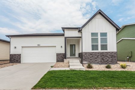 New construction Single-Family house 780 Chatter Rd, Windsor, CO 80550 plan Morrison - image