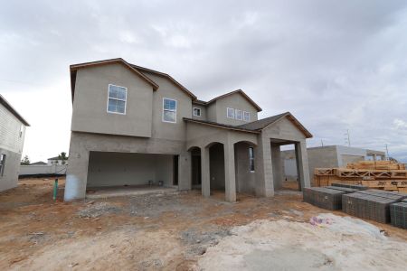 New construction Single-Family house 38326 Tobiano Loop, Dade City, FL 33525 Casanova- photo 65 65