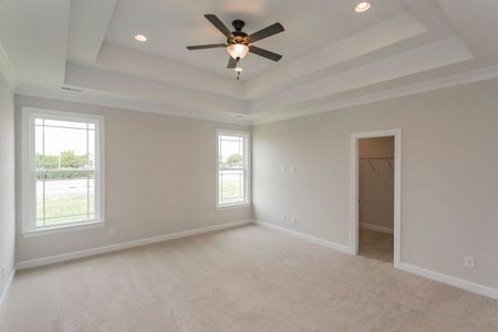 New construction Single-Family house 20 Shore Pine Dr, Youngsville, NC 27596 null- photo 22 22