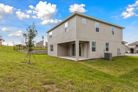 New construction Single-Family house 5191 Firebrush Dr, Apopka, FL 32712 null- photo 19 19