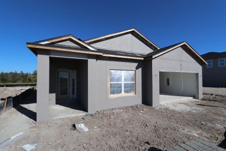 New construction Single-Family house 31229 Denham Ridge Ln, Wesley Chapel, FL 33545 Newport II- photo 24 24