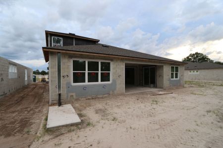 New construction Single-Family house 20243 Oriana Loop, Land O' Lakes, FL 34638 Corina  III Bonus- photo 61 61