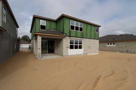 New construction Single-Family house 2350 Clary Sage Dr, Spring Hill, FL 34609 Sonoma II- photo 39 39