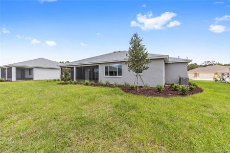 New construction Single-Family house 10276 Sw 105Th Ct, Ocala, FL 34481 - image