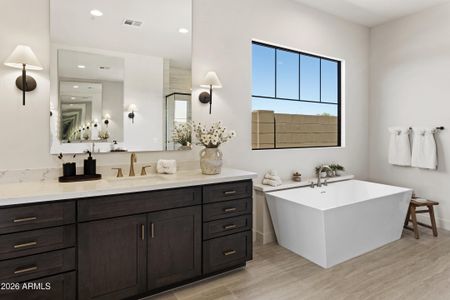 New construction Single-Family house 1563 E Cherrywood Pl, Chandler, AZ 85249 plan Daviana - image 14