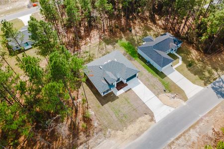 New construction Single-Family house 6732 Sw 132Nd St, Ocala, FL 34473 null- photo 35 35