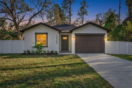 New construction Single-Family house 19326 Center St, Brooksville, FL 34601 - image