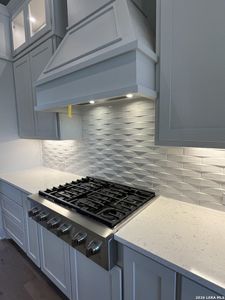 New construction Single-Family house 611 Parkview Pl, Canyon Lake, TX 78133 - image 14