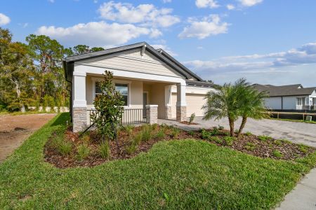 New construction Single-Family house 20219 Oriana Loop, Land O' Lakes, FL 34638 Corina  III- photo 120 120