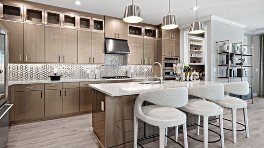 New construction Single-Family house 5035 Shade Forest Dr, Parrish, FL 34219 plan Morgan - image 9