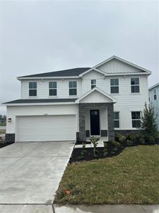 New construction Single-Family house 10118 Zennia Ln, Parrish, FL 34219 null- photo 0