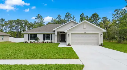 New construction Single-Family house 15406 Scaup Duck Ave, Weeki Wachee, FL 34614 plan 1755 - image