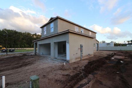 New construction Single-Family house 20288 Oriana Loop, Land O' Lakes, FL 34638 Coronado II- photo 46 46