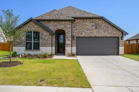 New construction Single-Family house 294 Winterwood Dr, Lavon, TX 75166 null- photo 0