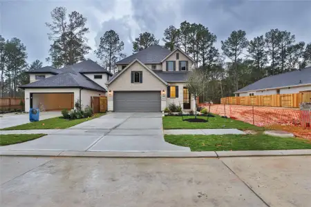 New construction Single-Family house 29957 Stony Forest Dr, Magnolia, TX 77354 - image