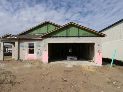 New construction Single-Family house 38389 Tobiano Lp, Dade City, FL 33525 plan Meridian - image