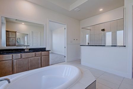 New construction Single-Family house 149 Peninsula Point Dr, Montgomery, TX 77356 - image 5