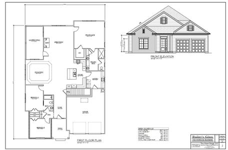 New construction Single-Family house 14012 Cameryn Elise Dr, Cornelius, NC 28031 - photo 5 5