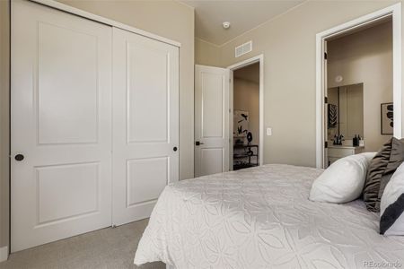 New construction Single-Family house 2011 Grayside Cir, Castle Rock, CO 80109 - image 7