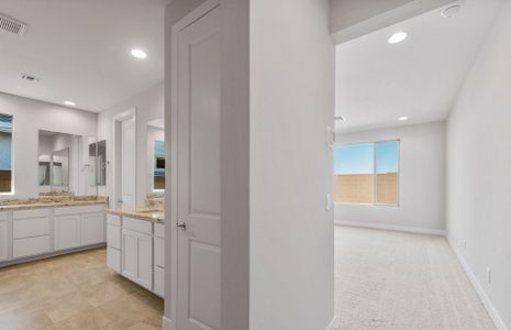 New construction Single-Family house 1466 W Saddle Run, Apache Junction, AZ 85120 Avelino- photo 18 18