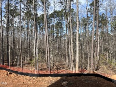 New construction Single-Family house 162 Gaines Trl, Pittsboro, NC 27312 null- photo 37 37