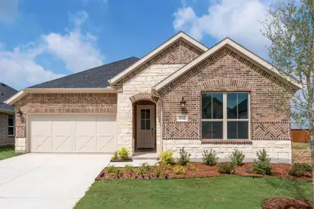 New construction Single-Family house 4112 Blackbird Ave, Little Elm, TX 75068 plan Elinor II - image