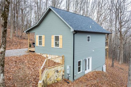 New construction Single-Family house 110 Burnt Mountain Cove Rd, Jasper, GA 30143 - image