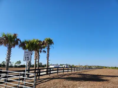 New construction Single-Family house 10124 Sw Hemingway Ter, Palm City, FL 34990 - image 5