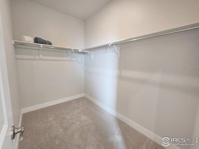 New construction Single-Family house 4790 Degas Dr, Loveland, CO 80538 - image 6