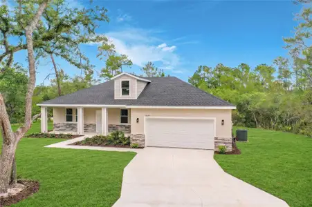 New construction Single-Family house 31825 Nutmeg Ave, Eustis, FL 32736 - image