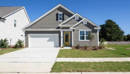 New construction Single-Family house 4352 Coralbead Ln, Leland, NC 28451 plan Darby - image