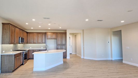 New construction Single-Family house 5440 W Snowbird Drive, Eloy, AZ 85131 Villa- photo 13 13