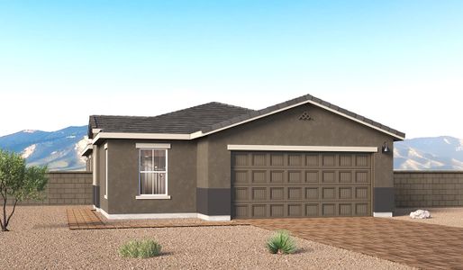 New construction Single-Family house 867 W Calle Lupa, Sahuarita, AZ 85629 plan Aloe - C30A - image