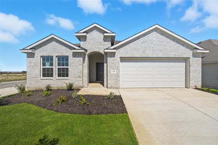New construction Single-Family house 120 Crow Valley Dr, Jarrell, TX 76537 plan Paramount - image