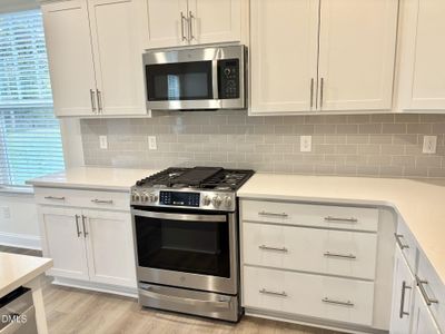 New construction Single-Family house 221 Steel Springs Ln, Unit 23, Angier, NC 27501 - image 11