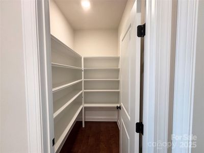 New construction Single-Family house 9703 Ardley Park Wy, Mint Hill, NC 28227 plan Arlington - image 19