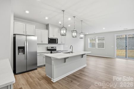 New construction Townhouse house 3015 High Bluff St, Kannapolis, NC 28025 - image