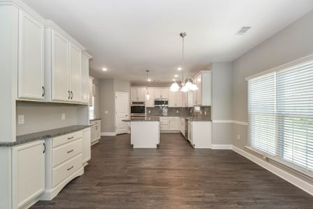 New construction Single-Family house Richmond Hill, GA 31324 plan Greybeard - image 16