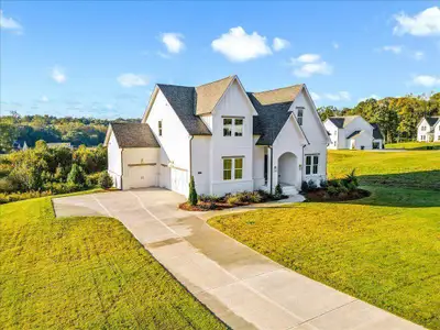 Brooks Pond by David Patterson Homes in Cumming - image 9
