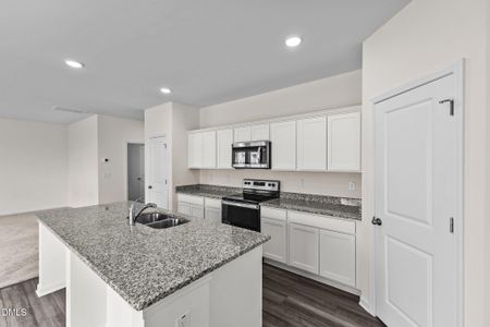 New construction Single-Family house 214 Blue Sky Ln, Louisburg, NC 27549 plan Radiance - image 9