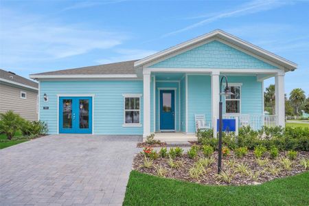 New construction Single-Family house 1005 Fiesta Key Cir, Lady Lake, FL 32159 plan Edison - image