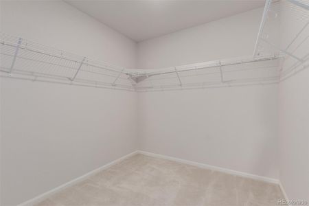 New construction Single-Family house 3827 N Grand Baker St, Aurora, CO 80019 - image 12