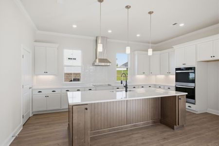 New construction Single-Family house 7509 Shoal Mill Pt, Unit 43, Fairview, TN 37062 plan Davenport - image 8