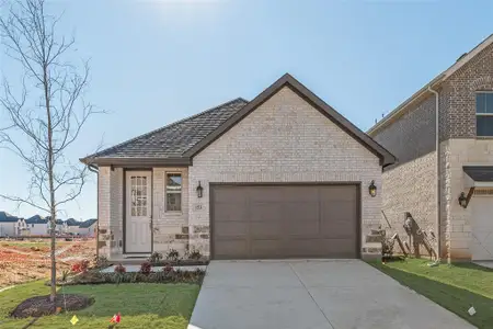 New construction Single-Family house 153 Ashbrook St, Little Elm, TX 75068 plan Alford - image