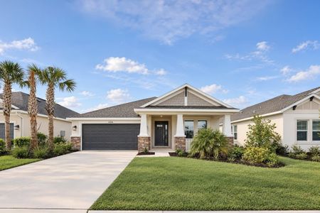 New construction Single-Family house 14246 Sawmill St, Parrish, FL 34219 plan Saint Thomas - image
