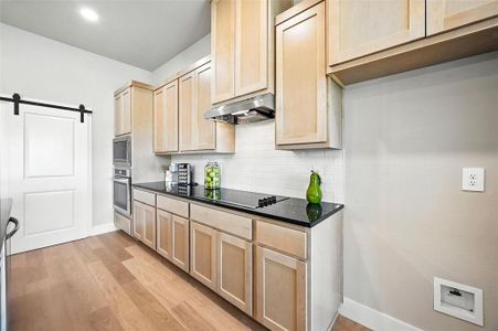 New construction Single-Family house 1114 Silver Sage Trl, Weatherford, TX 76085 - image 11